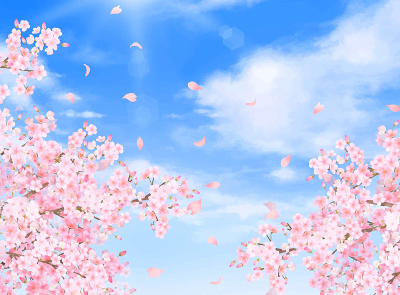 予防歯科のセクション